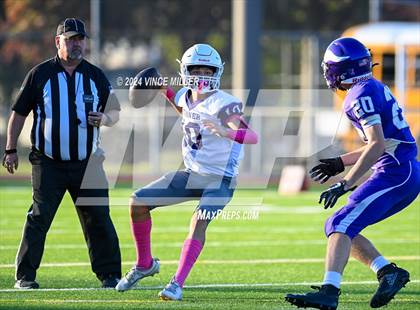 Thumbnail 1 in Sumner @ Puyallup photogallery.