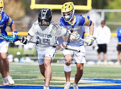 Thumbnail 1 in Brighton @ Irondequoit photogallery.