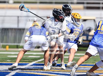 Thumbnail 3 in Brighton @ Irondequoit photogallery.