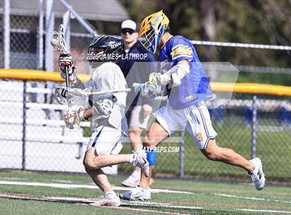 Thumbnail 3 in Brighton @ Irondequoit photogallery.