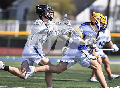 Thumbnail 2 in Brighton @ Irondequoit photogallery.