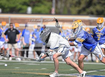 Thumbnail 1 in Brighton @ Irondequoit photogallery.