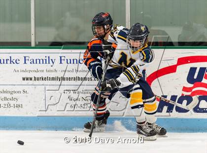Thumbnail 1 in Walpole @ Needham photogallery.
