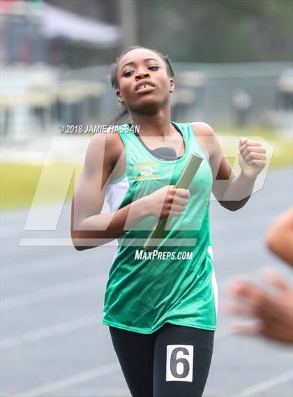 Thumbnail 3 in West Ashley Relays  photogallery.
