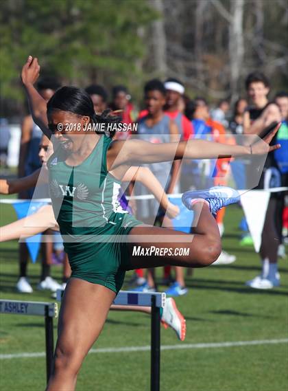 Thumbnail 1 in West Ashley Relays  photogallery.