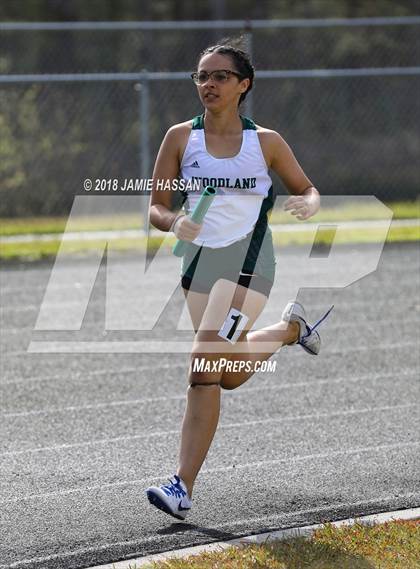 Thumbnail 1 in West Ashley Relays  photogallery.