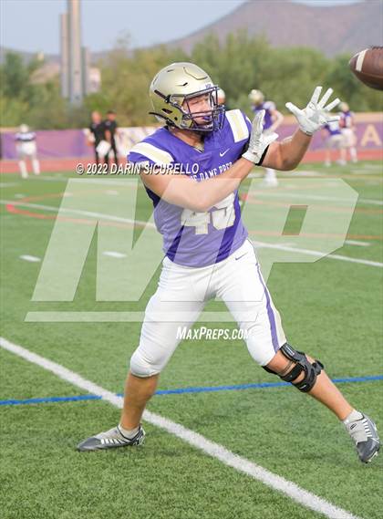 Thumbnail 2 in Ironwood @ Notre Dame Prep photogallery.
