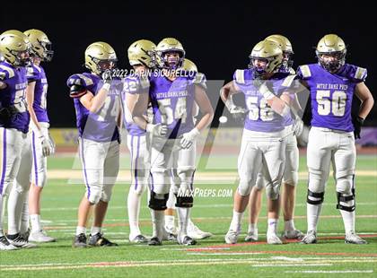 Thumbnail 2 in Ironwood @ Notre Dame Prep photogallery.