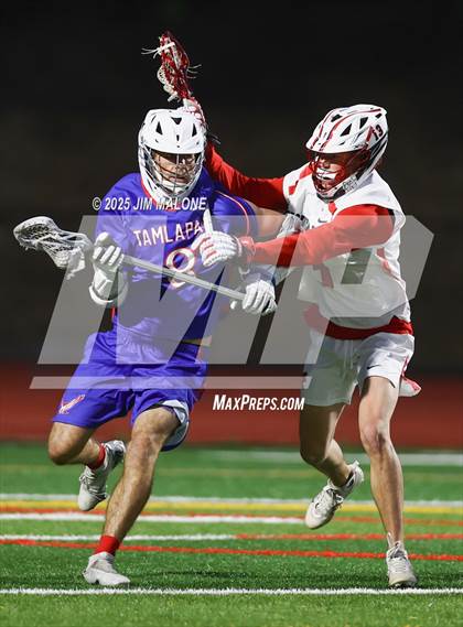 Thumbnail 2 in Tamalpais @ Monte Vista (CIF NCS D1 Semifinals) photogallery.