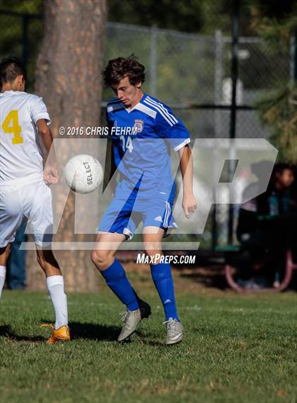 Thumbnail 2 in Rampart vs Palmer photogallery.