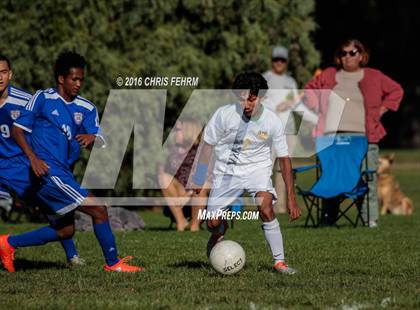 Thumbnail 1 in Rampart vs Palmer photogallery.
