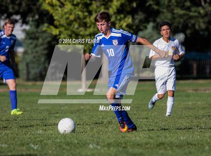 Thumbnail 2 in Rampart vs Palmer photogallery.