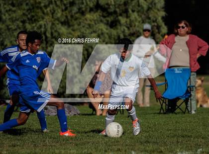 Thumbnail 3 in Rampart vs Palmer photogallery.