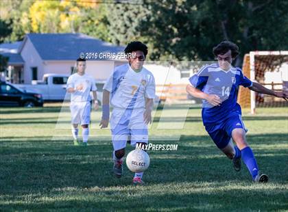 Thumbnail 3 in Rampart vs Palmer photogallery.