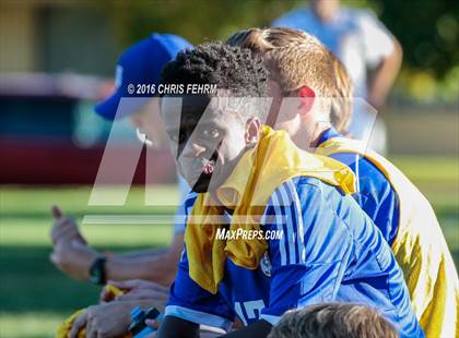 Thumbnail 2 in Rampart vs Palmer photogallery.