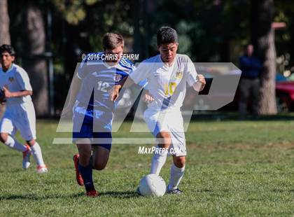 Thumbnail 2 in Rampart vs Palmer photogallery.