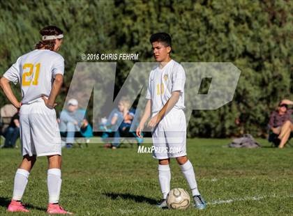 Thumbnail 3 in Rampart vs Palmer photogallery.