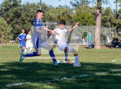 Thumbnail 1 in Rampart vs Palmer photogallery.