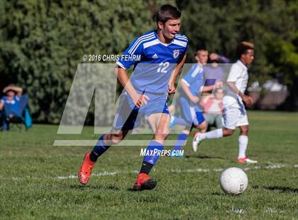 Thumbnail 1 in Rampart vs Palmer photogallery.