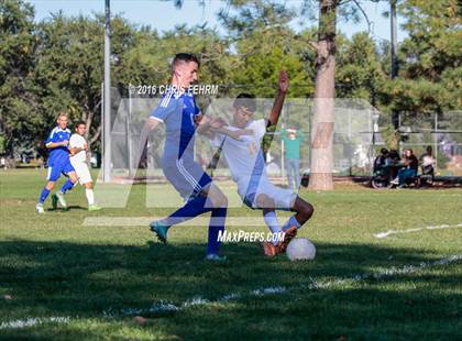 Thumbnail 2 in Rampart vs Palmer photogallery.