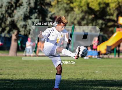 Thumbnail 3 in Rampart vs Palmer photogallery.