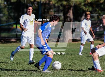 Thumbnail 3 in Rampart vs Palmer photogallery.