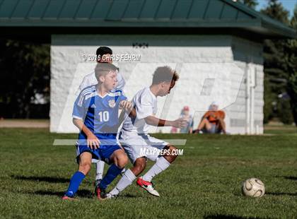 Thumbnail 1 in Rampart vs Palmer photogallery.