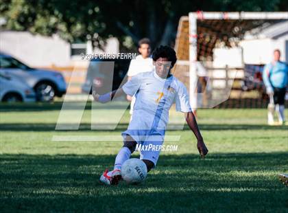 Thumbnail 1 in Rampart vs Palmer photogallery.