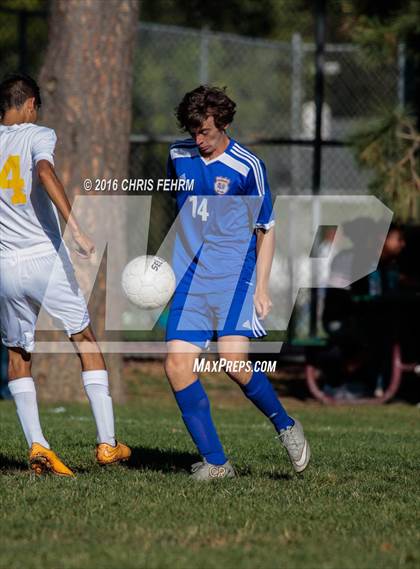 Thumbnail 1 in Rampart vs Palmer photogallery.