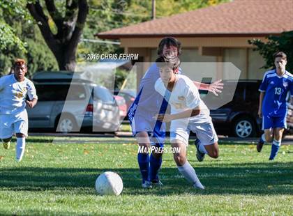Thumbnail 1 in Rampart vs Palmer photogallery.