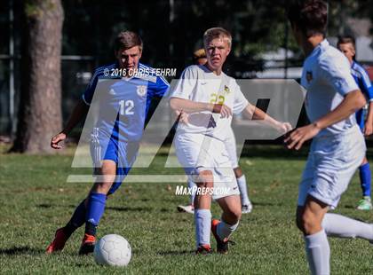 Thumbnail 3 in Rampart vs Palmer photogallery.