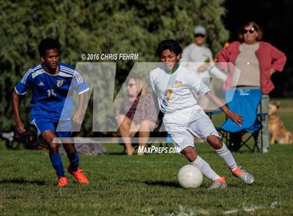 Thumbnail 2 in Rampart vs Palmer photogallery.