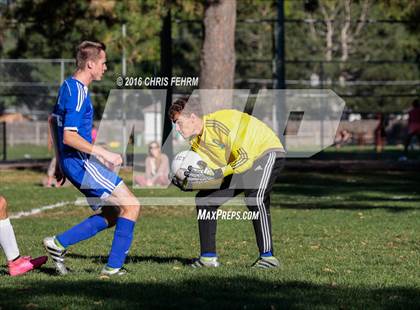 Thumbnail 3 in Rampart vs Palmer photogallery.