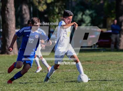 Thumbnail 1 in Rampart vs Palmer photogallery.
