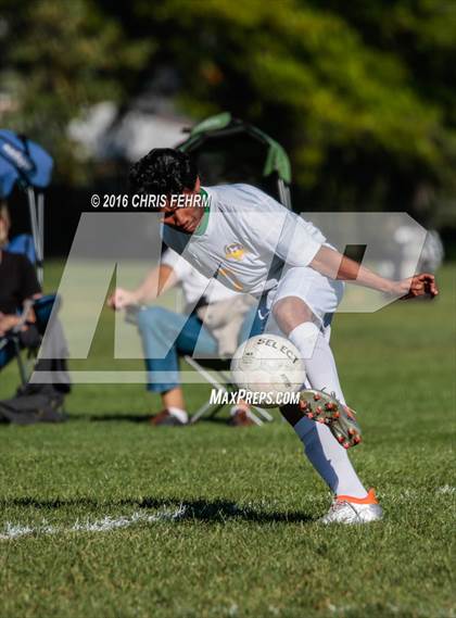 Thumbnail 2 in Rampart vs Palmer photogallery.