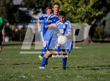 Thumbnail 3 in Rampart vs Palmer photogallery.