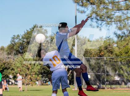 Thumbnail 1 in Rampart vs Palmer photogallery.