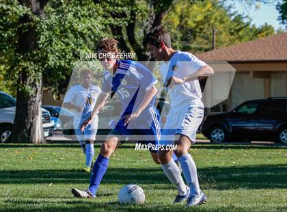 Thumbnail 3 in Rampart vs Palmer photogallery.