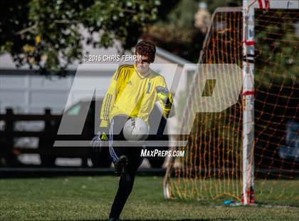 Thumbnail 3 in Rampart vs Palmer photogallery.