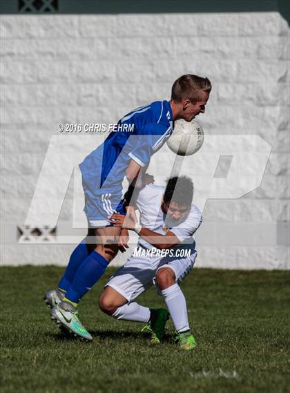 Thumbnail 1 in Rampart vs Palmer photogallery.