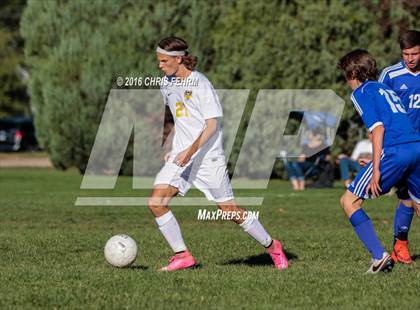 Thumbnail 2 in Rampart vs Palmer photogallery.
