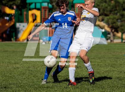 Thumbnail 1 in Rampart vs Palmer photogallery.
