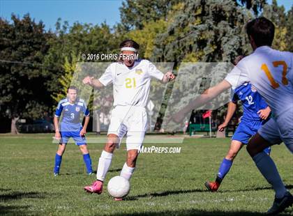 Thumbnail 3 in Rampart vs Palmer photogallery.