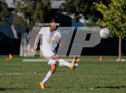 Thumbnail 3 in Rampart vs Palmer photogallery.