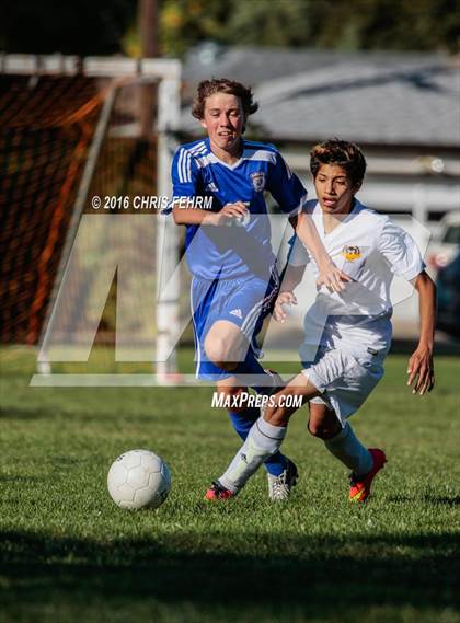 Thumbnail 1 in Rampart vs Palmer photogallery.