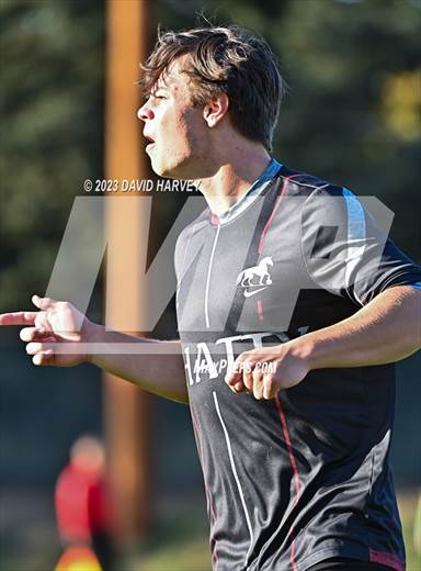 null - Photo 11