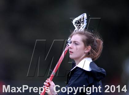 Thumbnail 2 in Clarence @ Lockport photogallery.