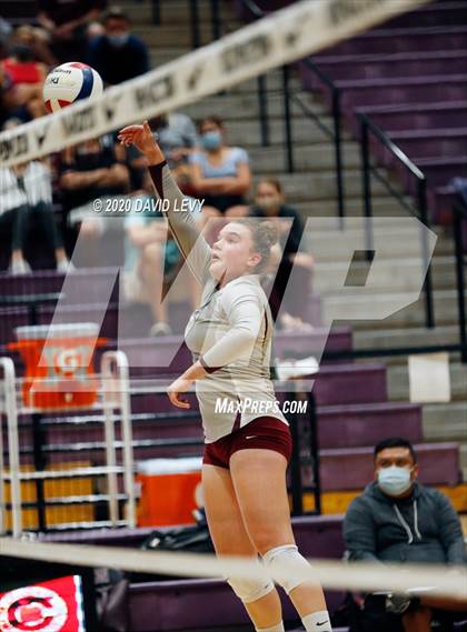 Thumbnail 1 in Basha @ Hamilton photogallery.