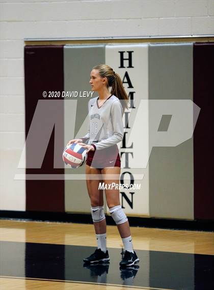 Thumbnail 3 in Basha @ Hamilton photogallery.