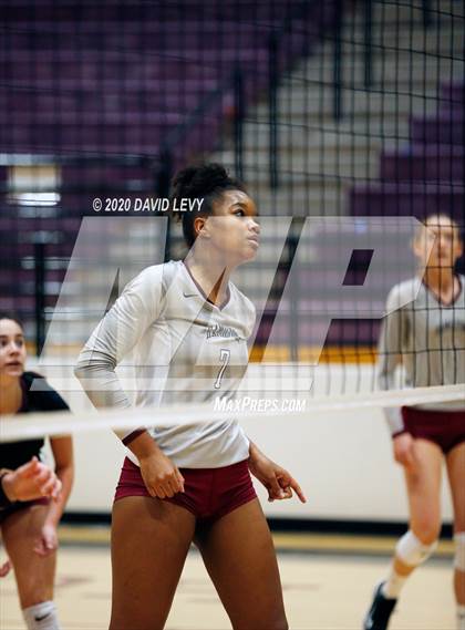 Thumbnail 2 in Basha @ Hamilton photogallery.